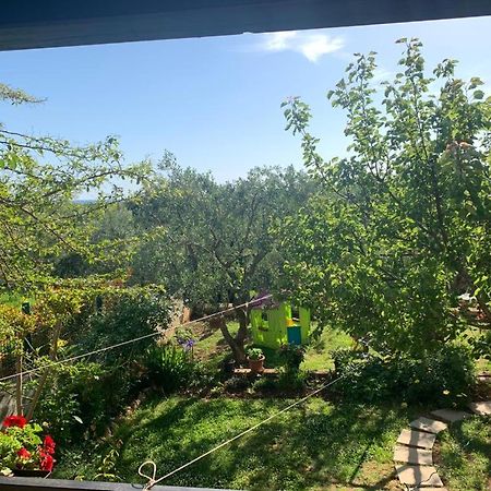 Apartman Dalija Vinkuran Esterno foto