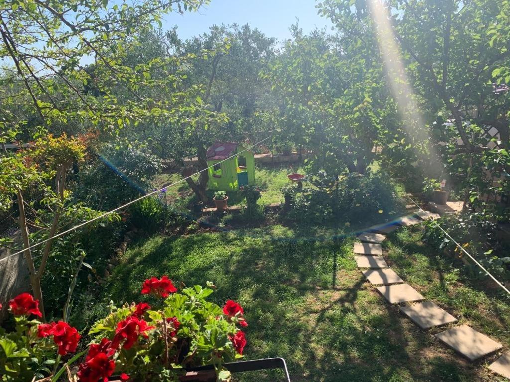 Apartman Dalija Vinkuran Esterno foto
