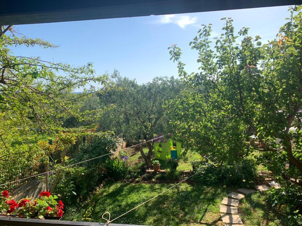 Apartman Dalija Vinkuran Esterno foto